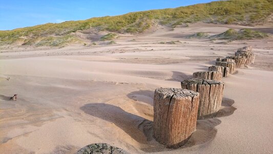 Waters dune wooden posts photo