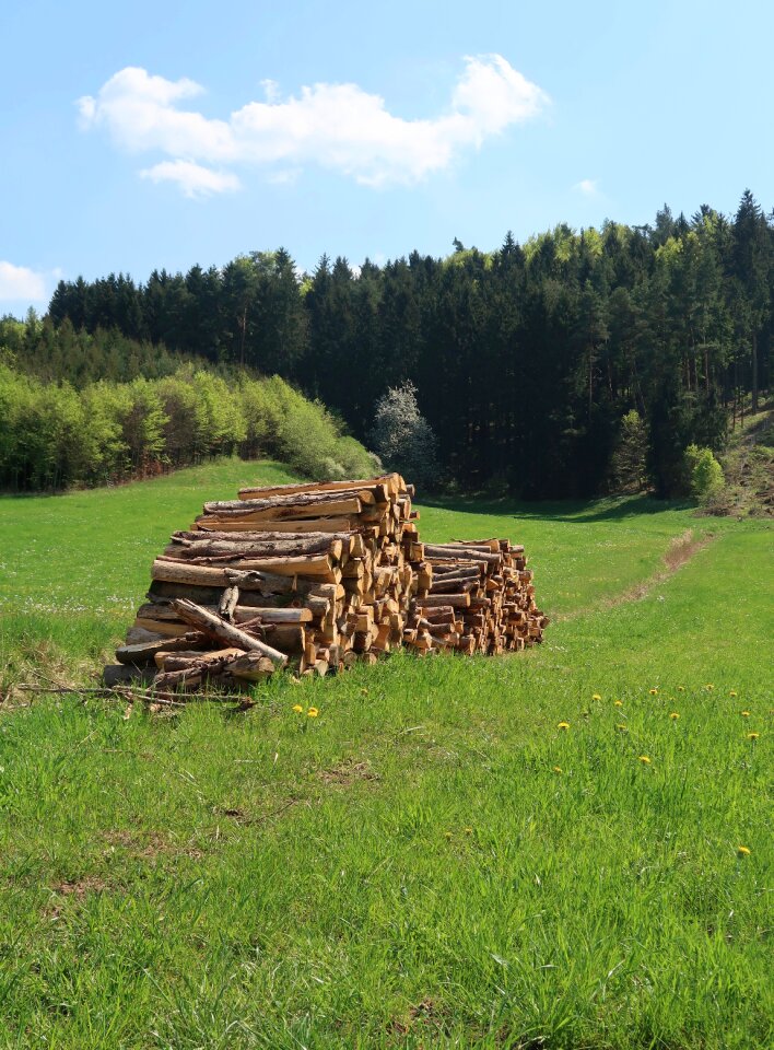 Nature landscape spring