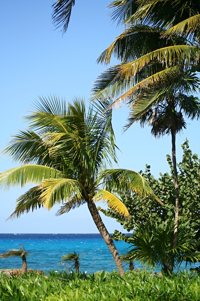 Sand beach exotic island