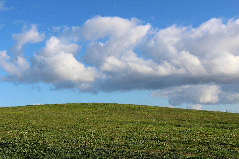 Sky landscape field