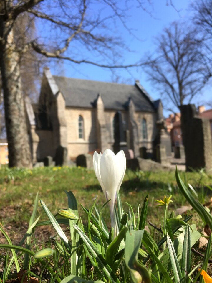 Outdoor lawn cemetery