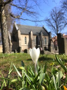 Outdoor lawn cemetery