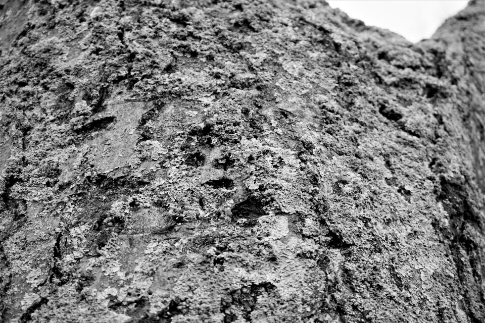 Rock desktop nature