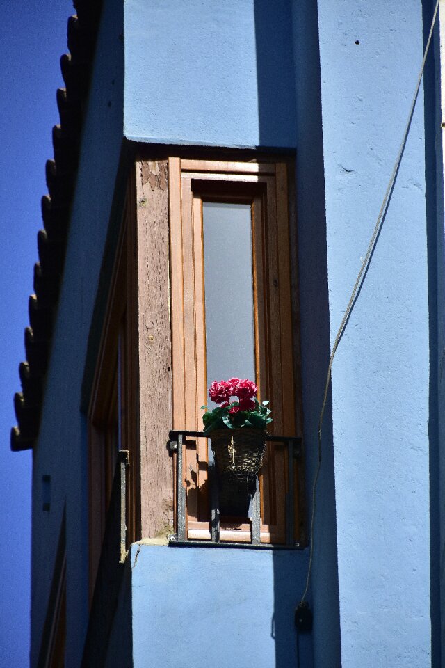 Window people saragossa