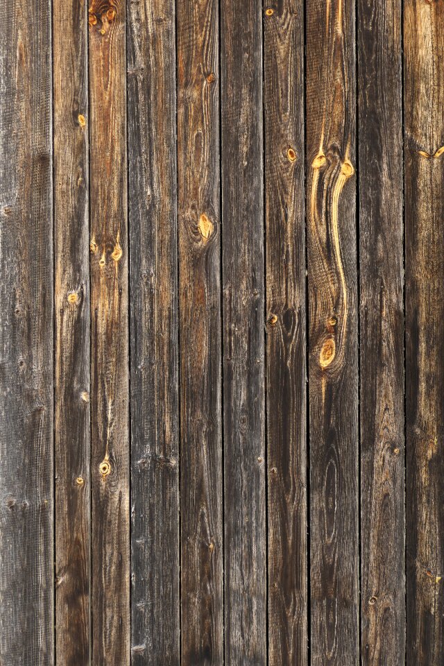 Old weathered branches