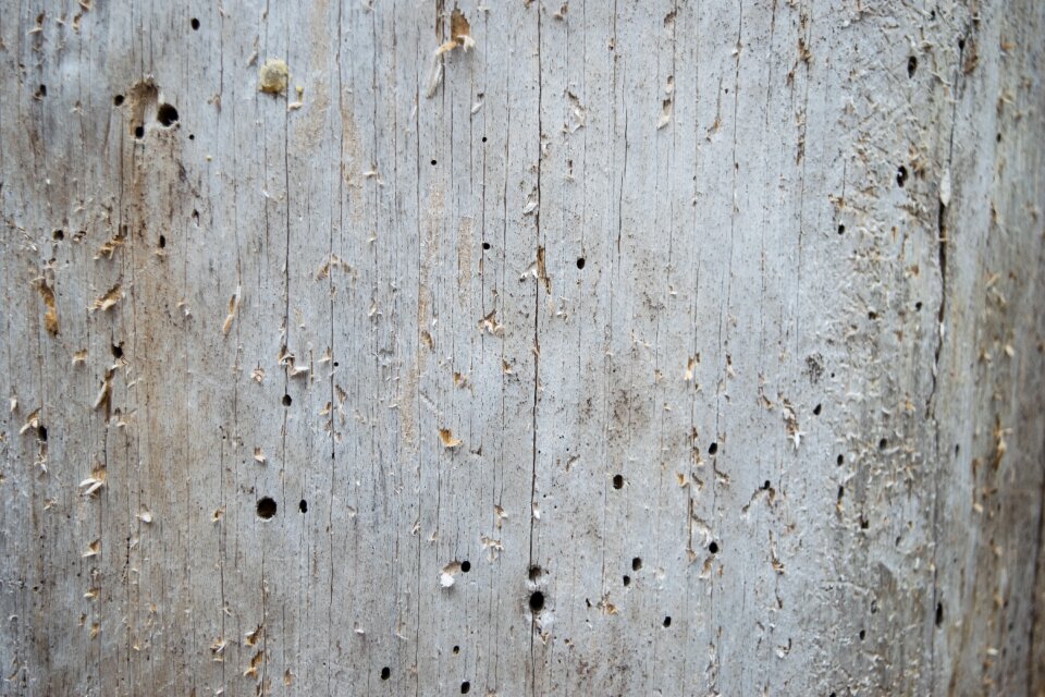 Desktop surface wood
