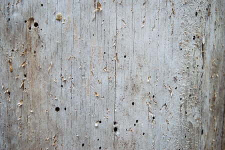 Desktop surface wood