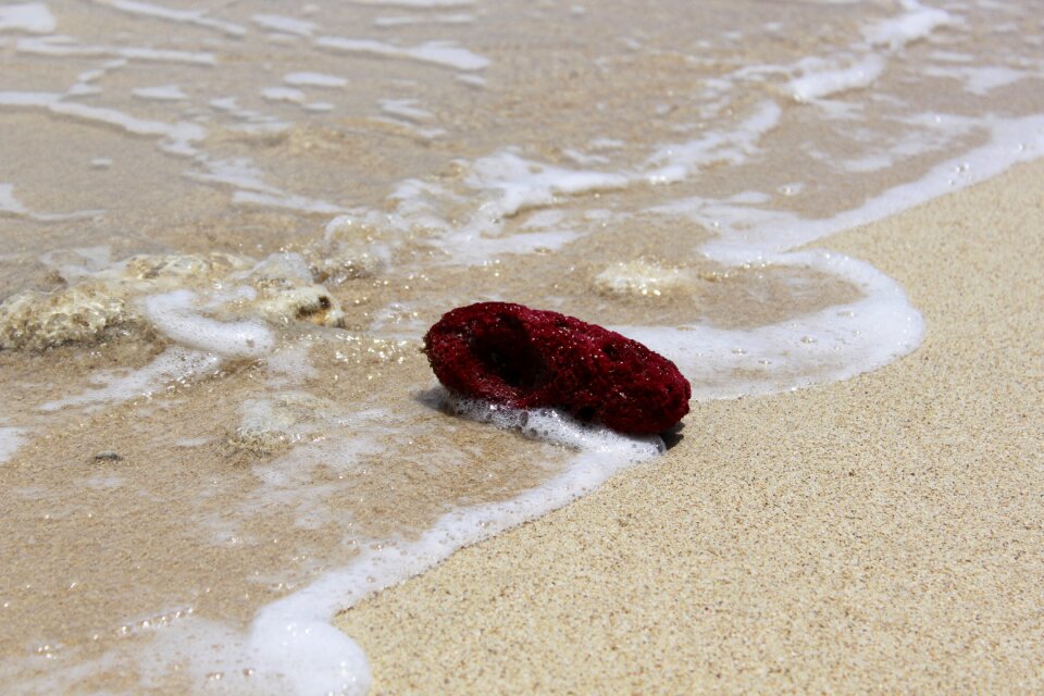 Body of water side sea