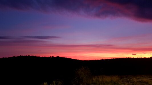 Nature evening