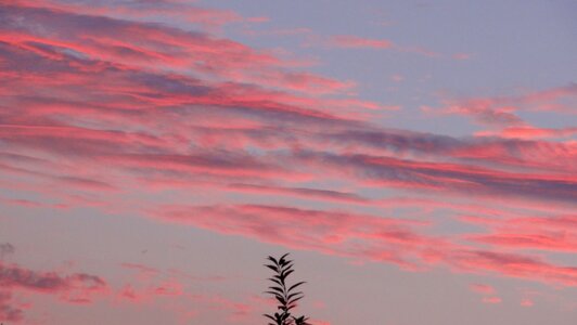 Nature sunset dawn