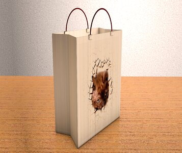 Paper empty carrying bag