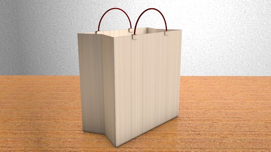 Paper empty carrying bag