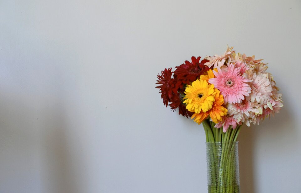 Plant summer bouquet de fleurs photo