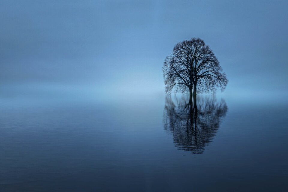 Sky fog waters