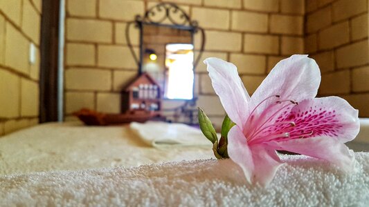 Towel orchid relax photo