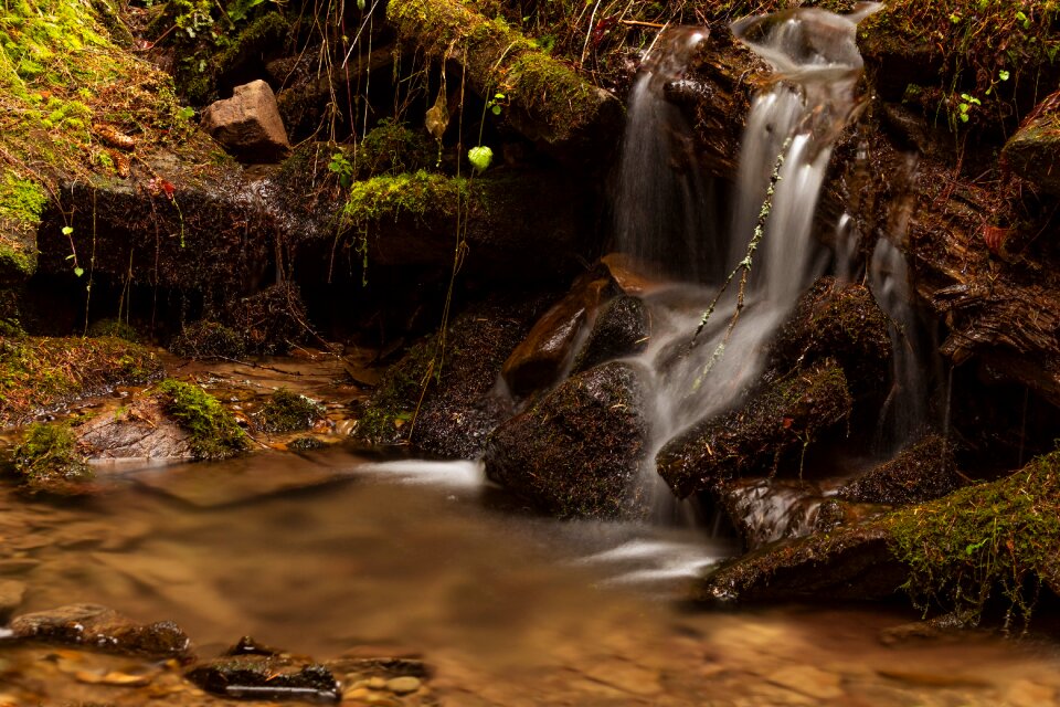 Landscape stream mountain river