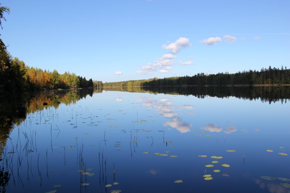 Nature the finnish landscape beach cottage