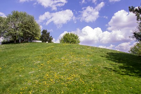 Landscape panorama meadow