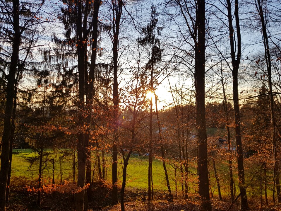 Landscape autumn schönwetter