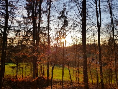 Landscape autumn schönwetter photo