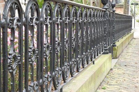 Fence georgia