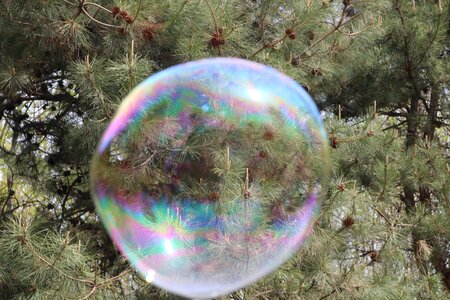 Ball nature color