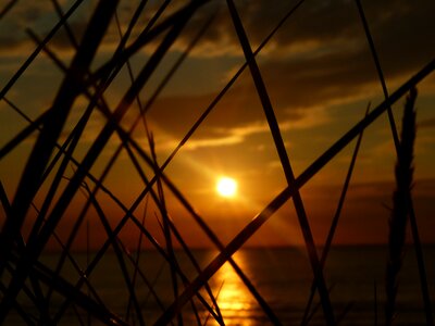 Dusk sunset background