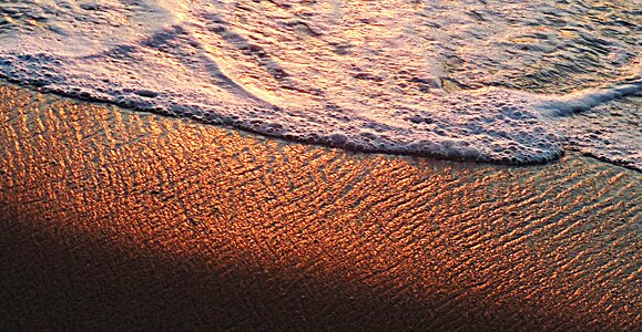 Nature art abstract