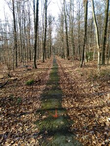 Landscape away swath