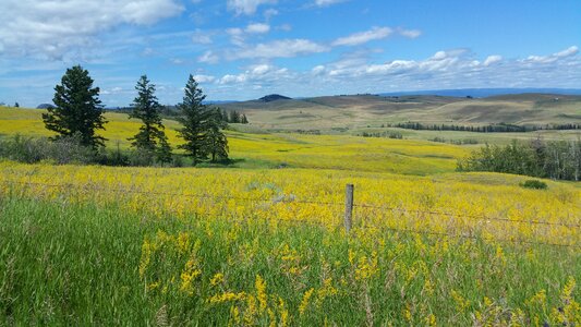 Sky hayfield