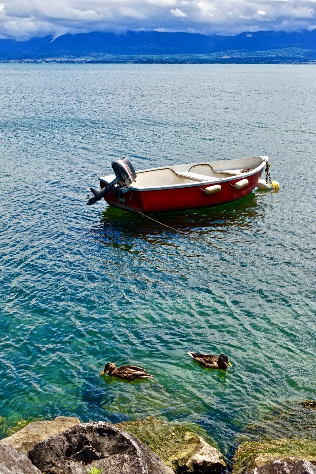 Water sea nature