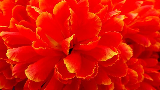 Brilliant good looking color