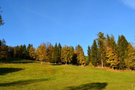 Landscape wood schönwetter