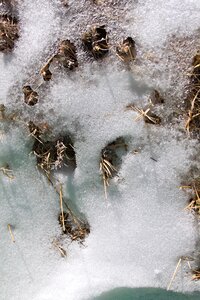 Outdoors winter snow