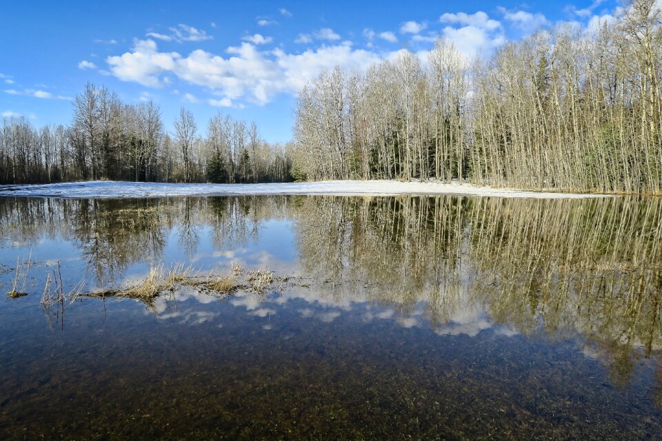 Snow melt hay field nature