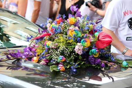 Bucke wreath auto