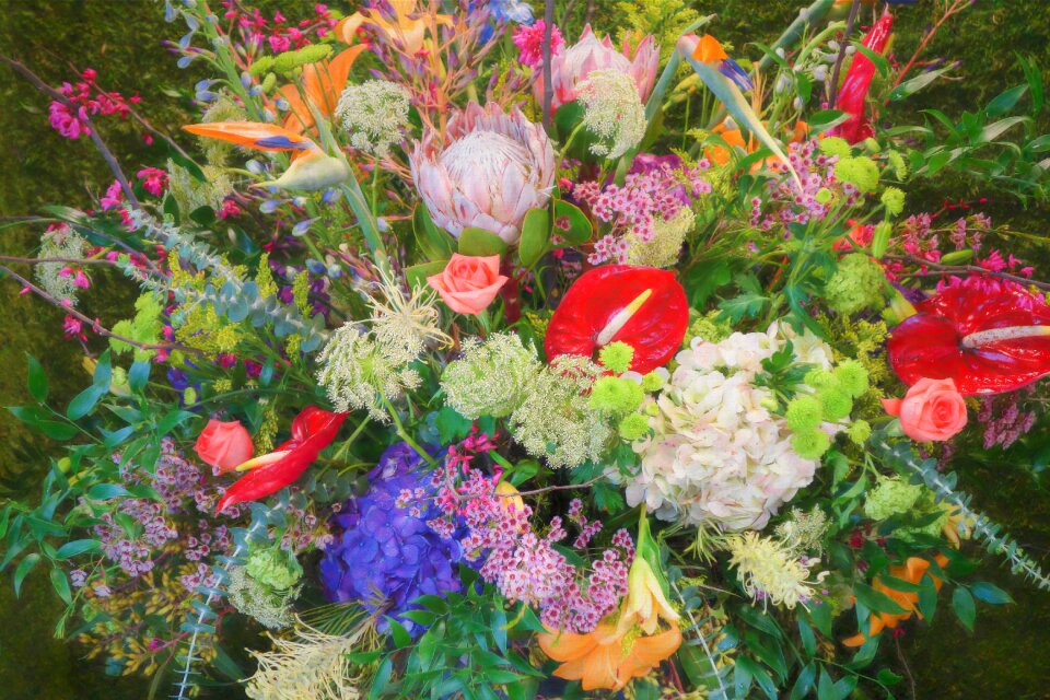 Botanical tropical lief