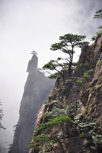 Rock tourism huangshan photo