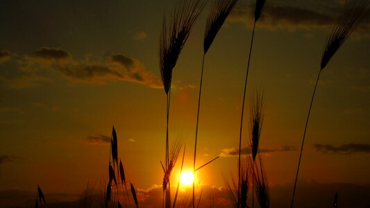 Dawn sky