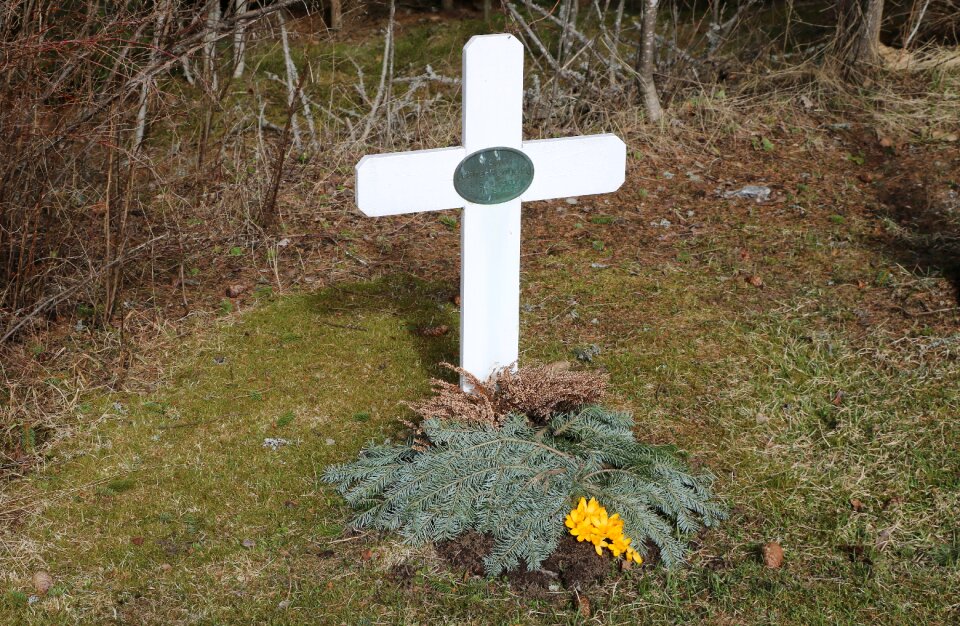 Old grave spring flower