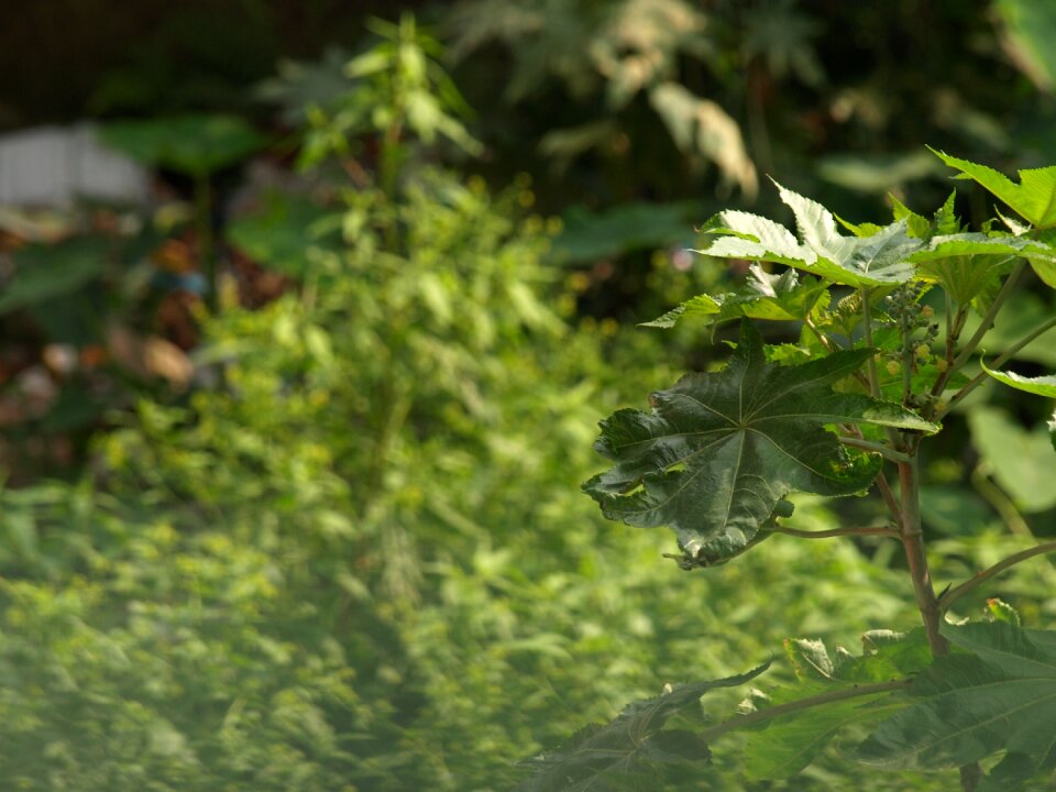 Outdoors environment