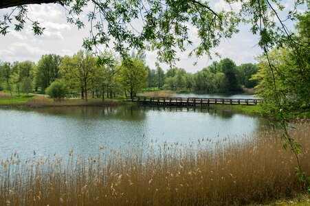 Reflection river park photo