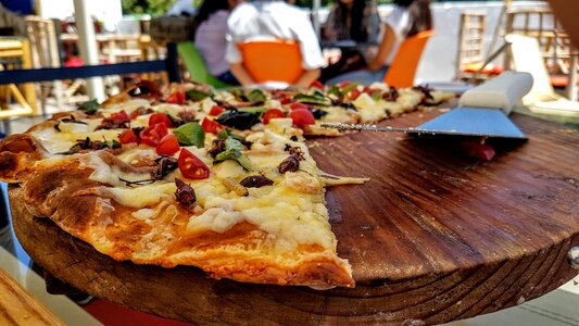 Pizza insect insect pizza