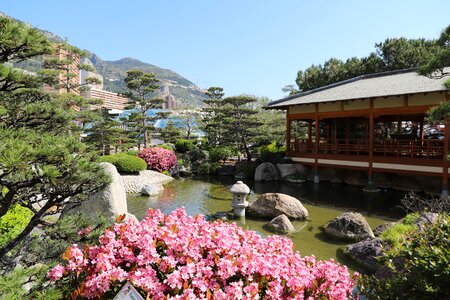Outdoor flower garden
