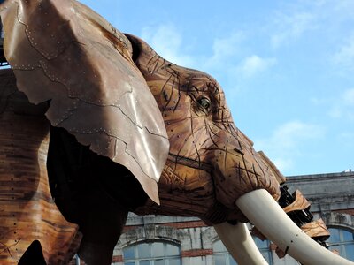 Elephant mechanics the machines