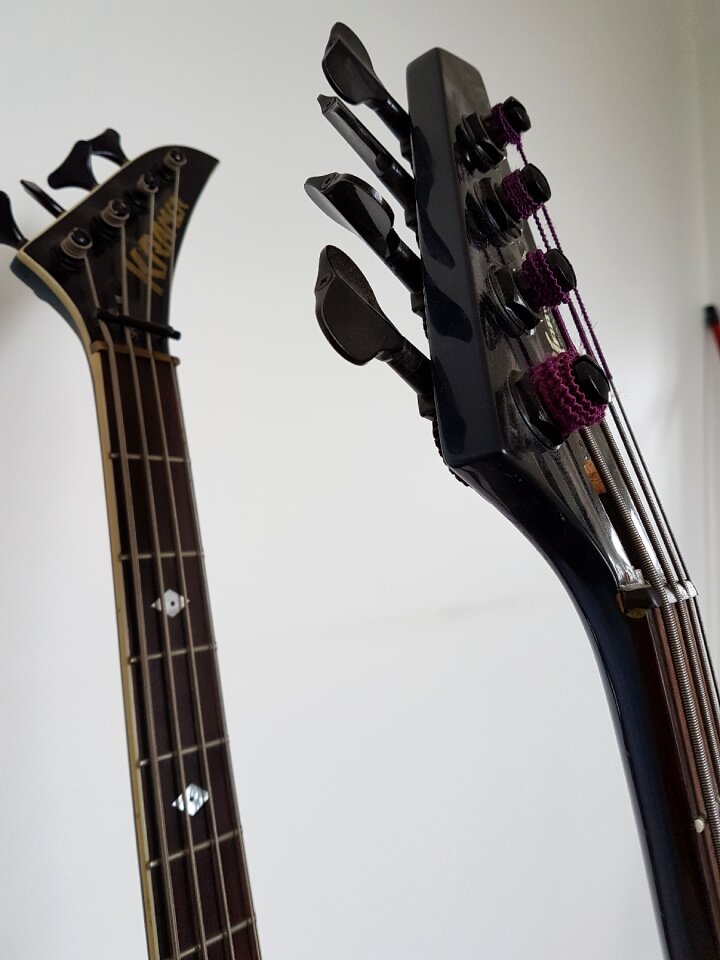 Bowed stringed instrument music musician