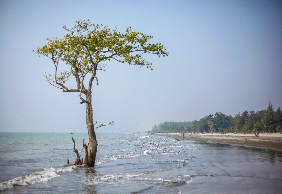 Landscape summer sea