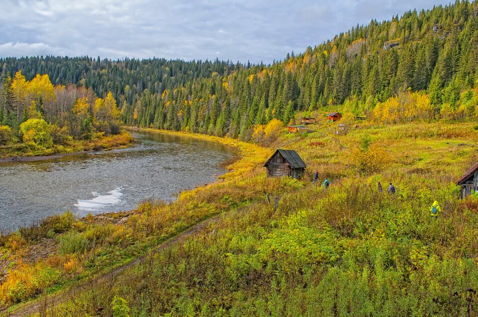 Wood outdoors lake