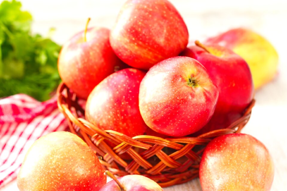 Food healthy health