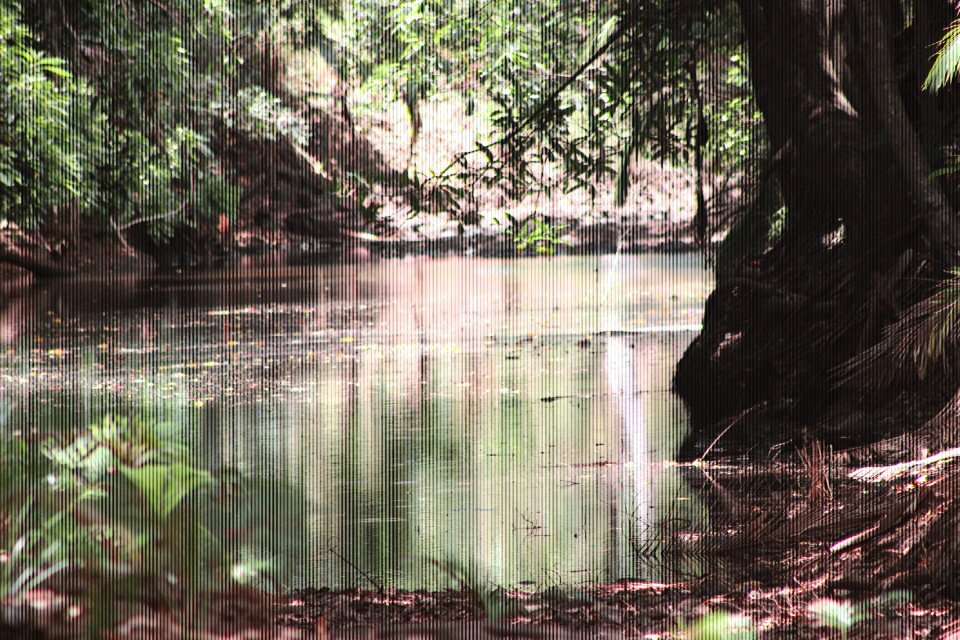 River wood australia